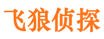 织金市私家侦探